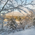 Image-square_50