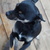 Image-square_50