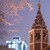 Image-square_50