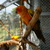 Image-square_50