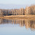 Image-square_50
