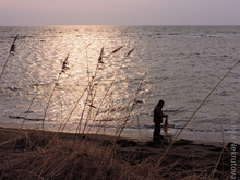 Image-rectangle_220_165