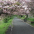 Image-square_50
