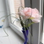 Image-square_50