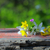 Image-square_50