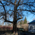 Image-square_50