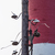 Image-square_50