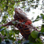 Image-square_50
