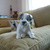 Image-square_50