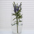 Image-square_50