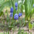 Image-square_50