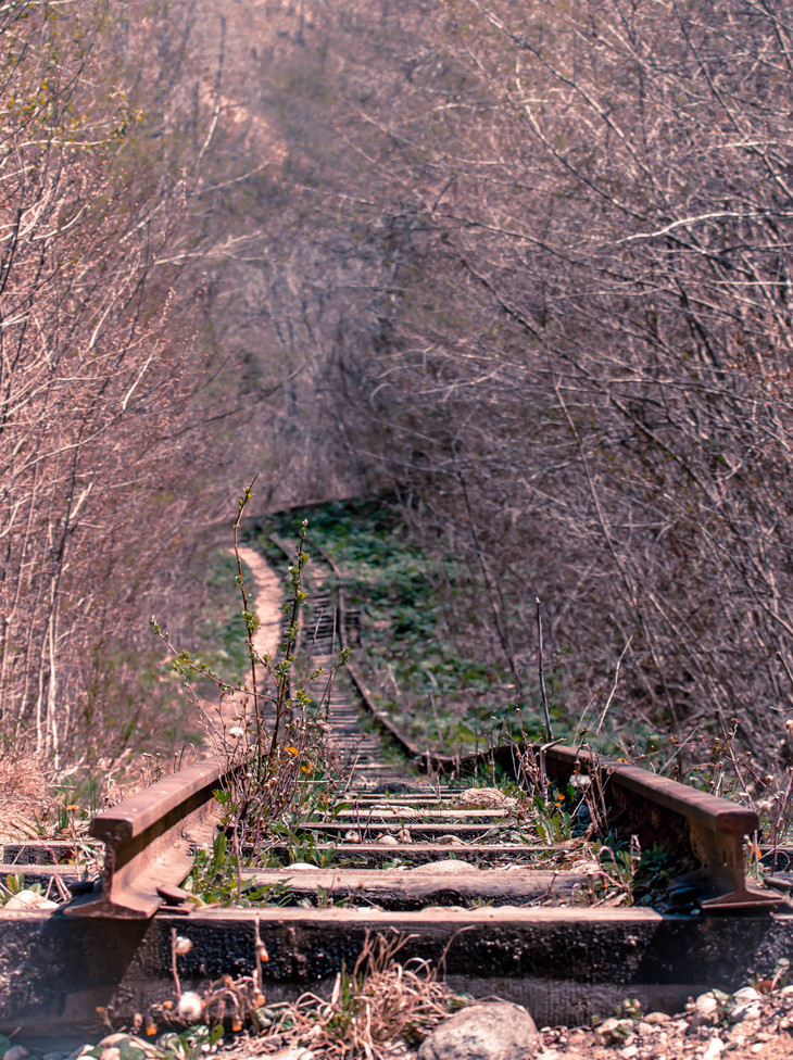 Image-normal