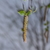Image-square_50
