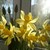 Image-square_50
