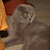 Image-square_50