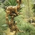 Image-square_50