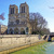 Image-square_50
