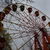 Image-square_50