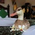Image-square_50