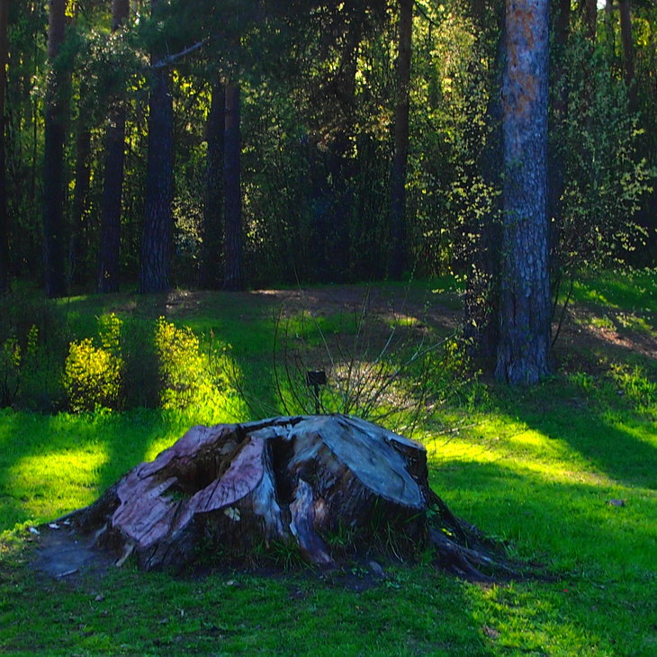 Image-normal
