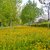 Image-square_50