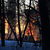 Image-square_50