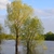 Image-square_50