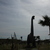 Image-square_50