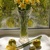 Image-square_50