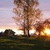 Image-square_50