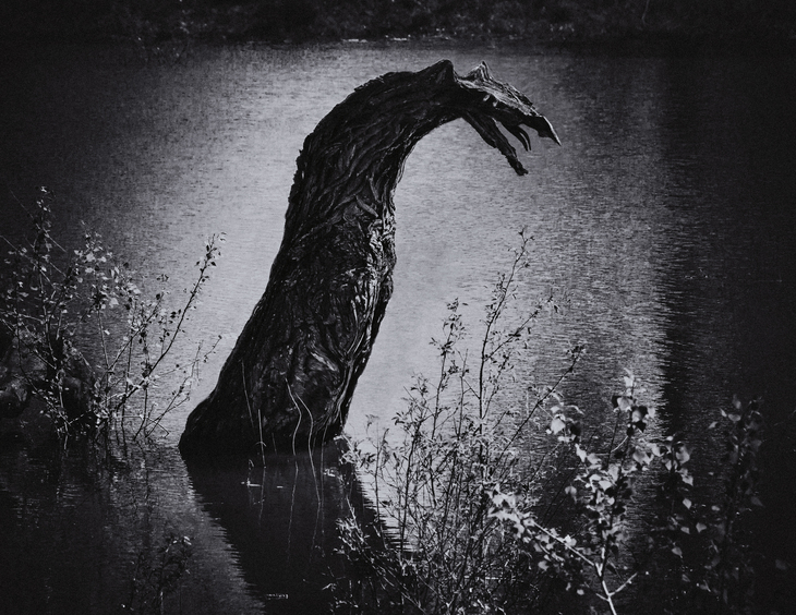 Image-normal