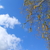Image-square_50