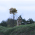 Image-square_50