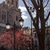 Image-square_50