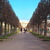 Image-square_50