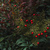 Image-square_50