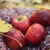 Image-square_50