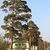 Image-square_50