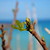 Image-square_50