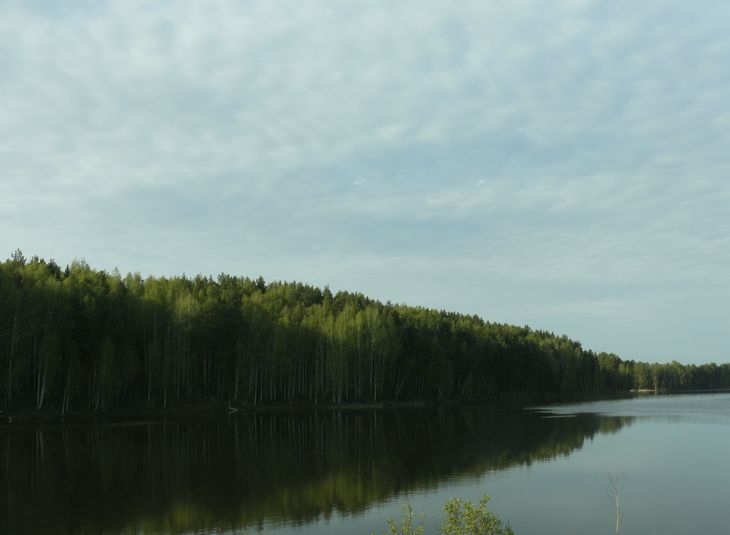 Image-normal