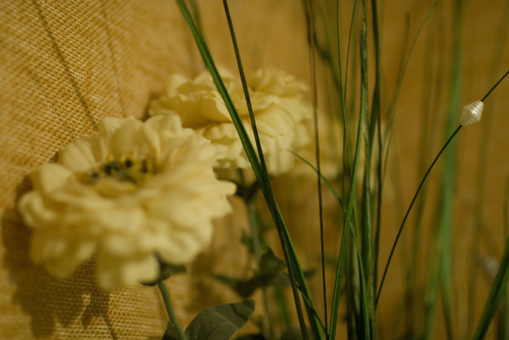 Image-normal