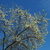Image-square_50