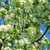 Image-square_50