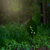 Image-square_50