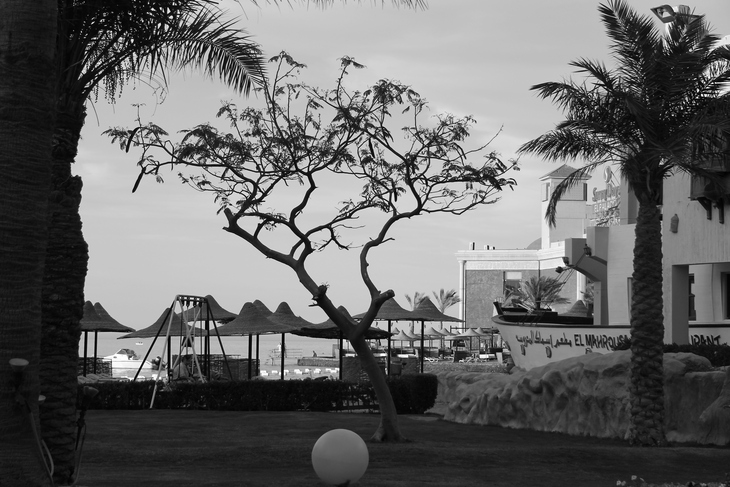 Image-normal