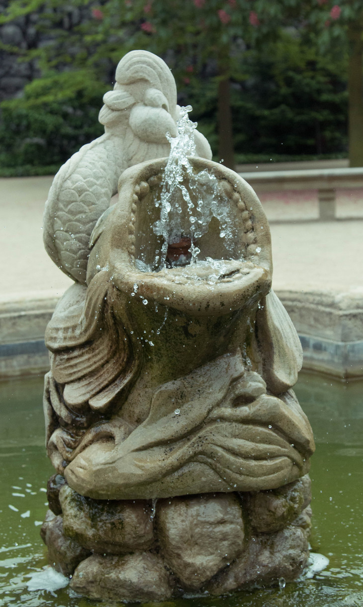 Image-normal