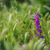 Image-square_50