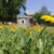 Image-square_50