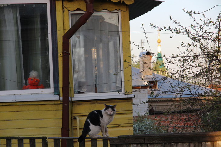 Image-normal