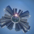 Image-square_50